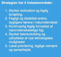 Naturvidenskabsstrategi indsatsområder